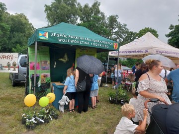 Relacja z Pikniku w Puszczy Mariańskiej „Święto Rodziny” , 